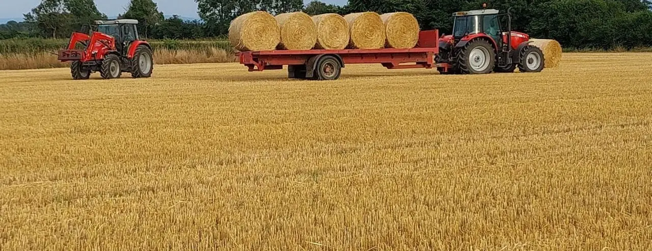 Newfields Organics main photo