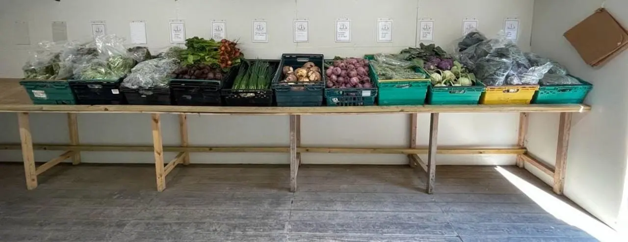 Newfields Organics photo 2