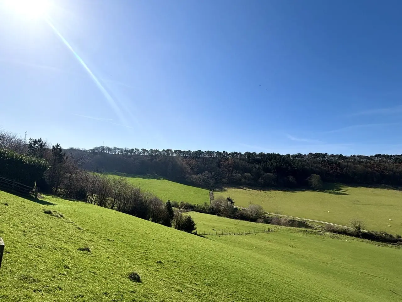 Stepney Hill Farm main photo