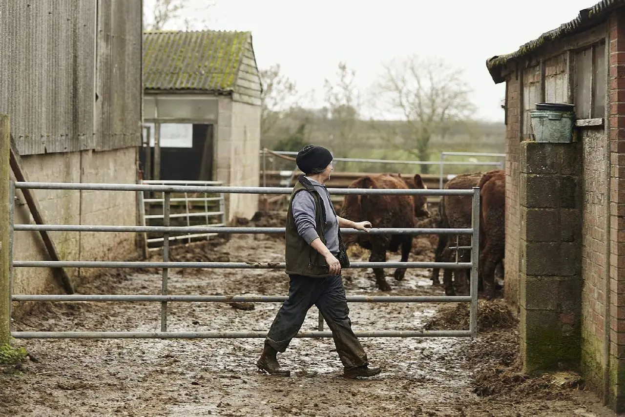 Hedgerows Farm main photo