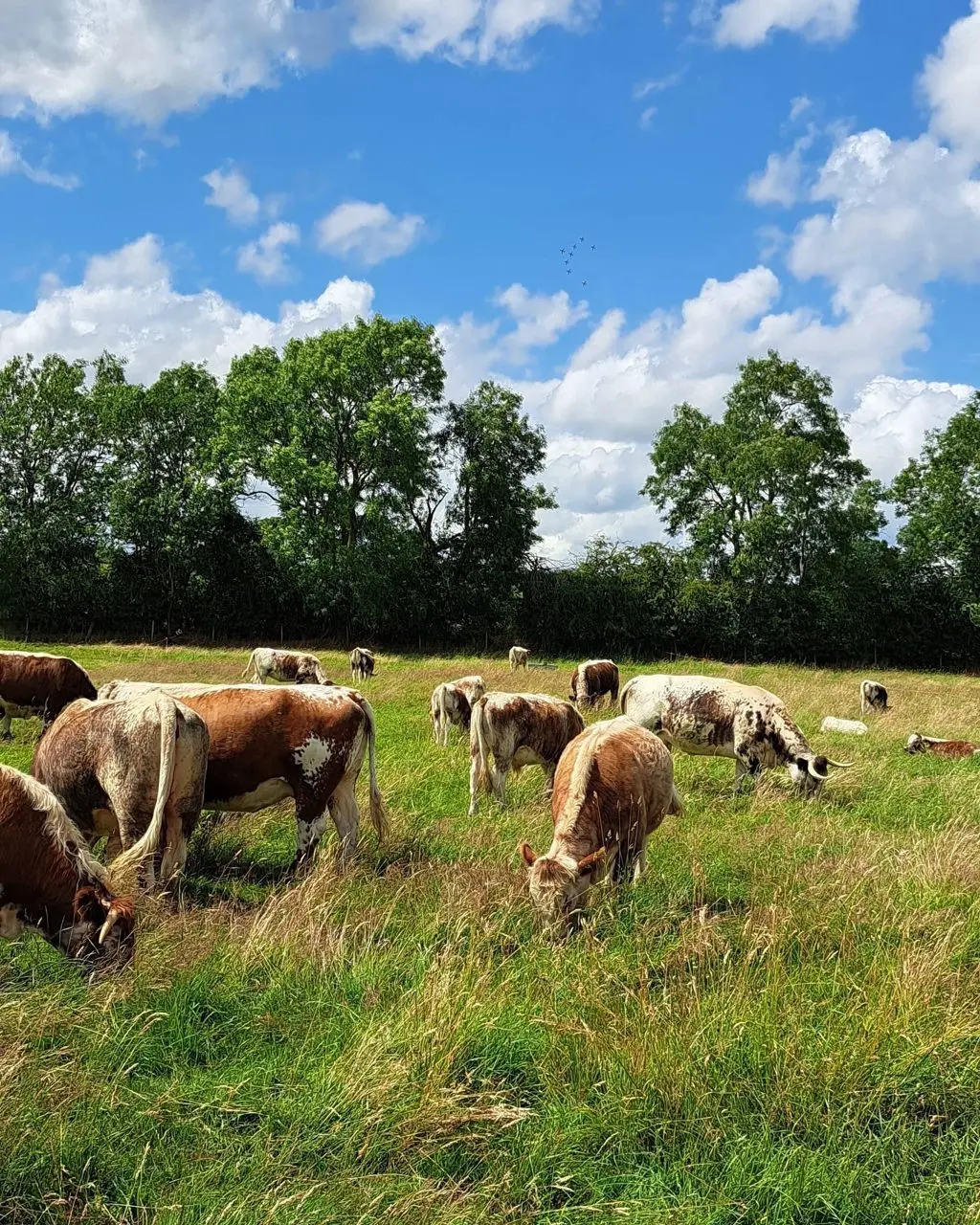 Cranley Barn Farms photo 1