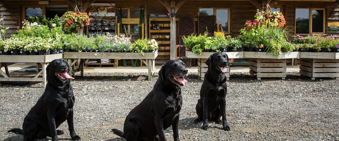Wheatley Farm Shop photo 1