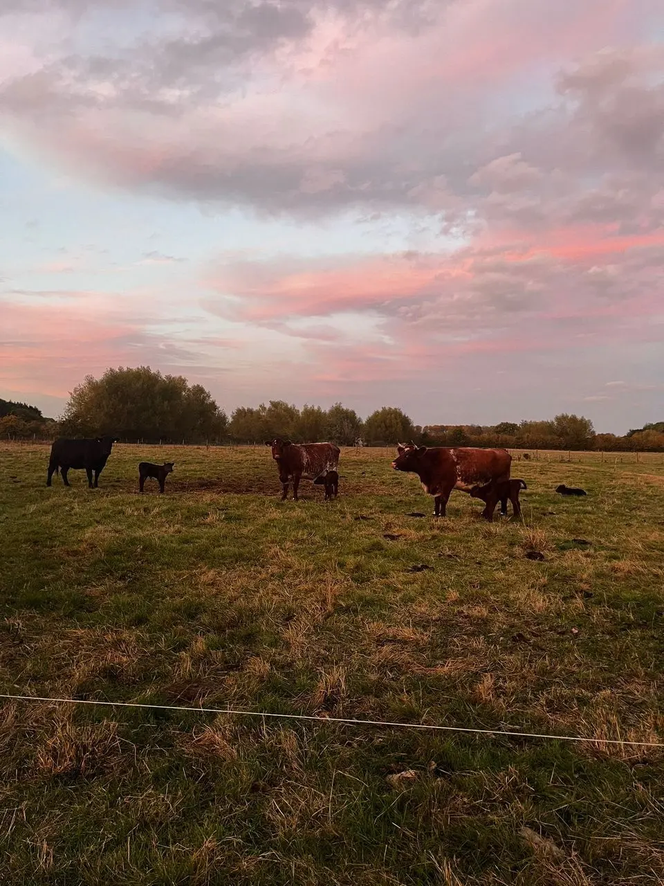 D'Oyleys Farm