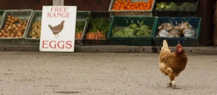 The Old Farm Shop