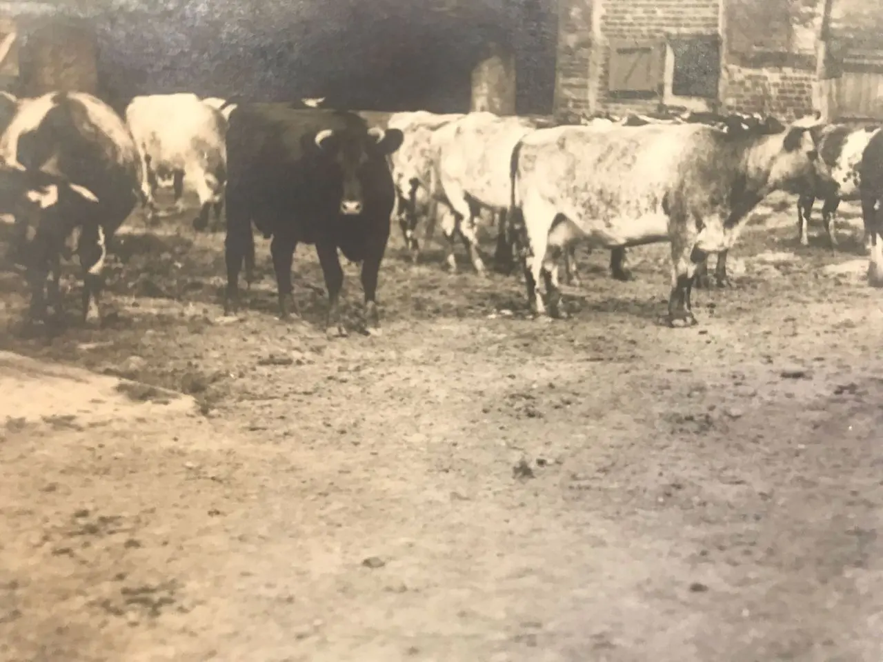 Oakes Farm Shop photo 1