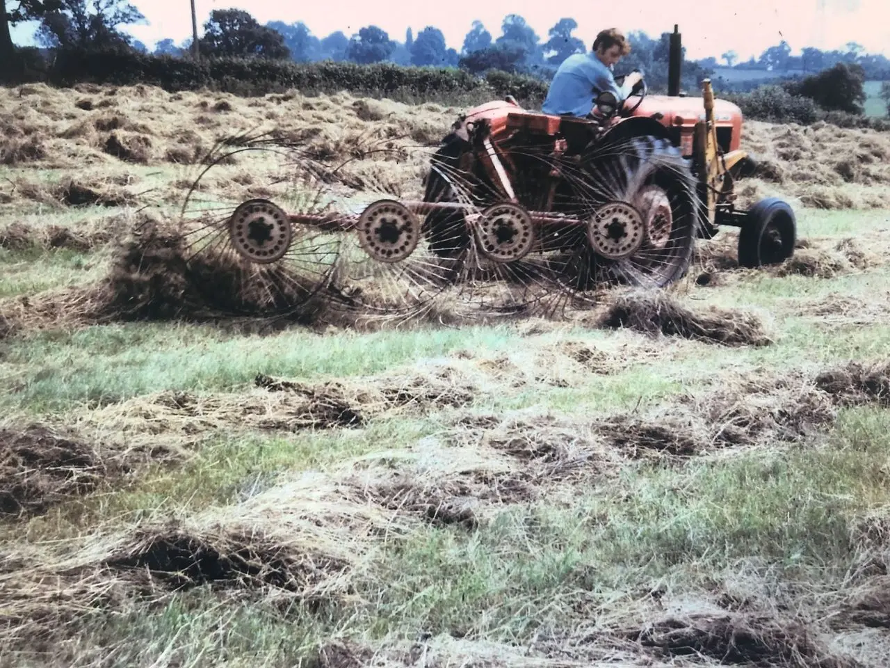 Oakes Farm Shop photo 2