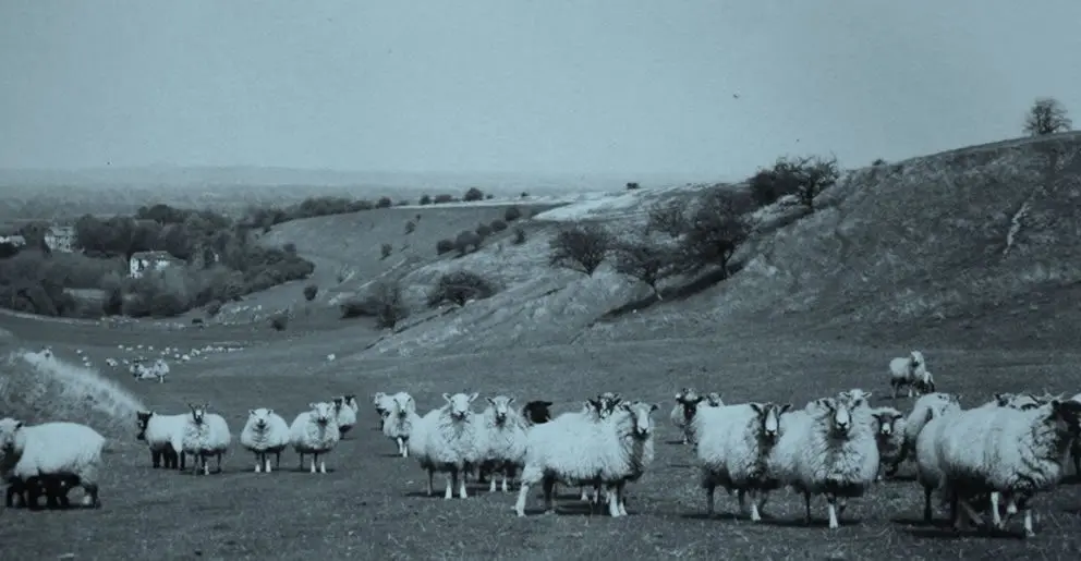 Hinton Marsh Farm Shop photo 1