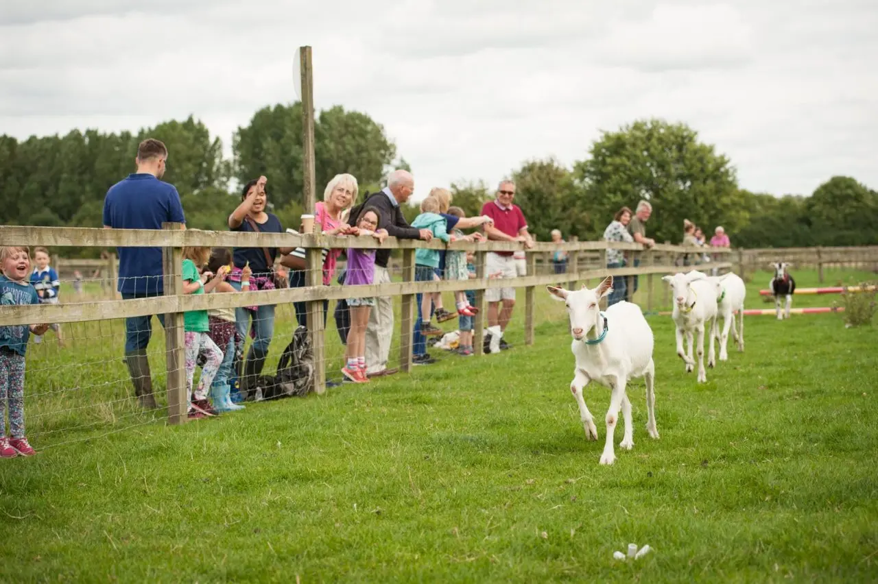 Roves Farm photo 1