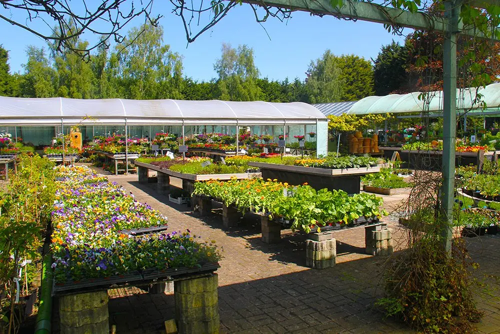 Stockbrook Farm Shop & Nursery photo 1