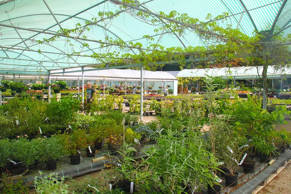 Stockbrook Farm Shop & Nursery photo 2