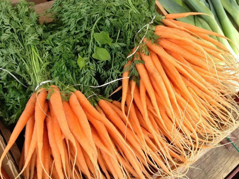 Walsingham Farm Shop photo 1