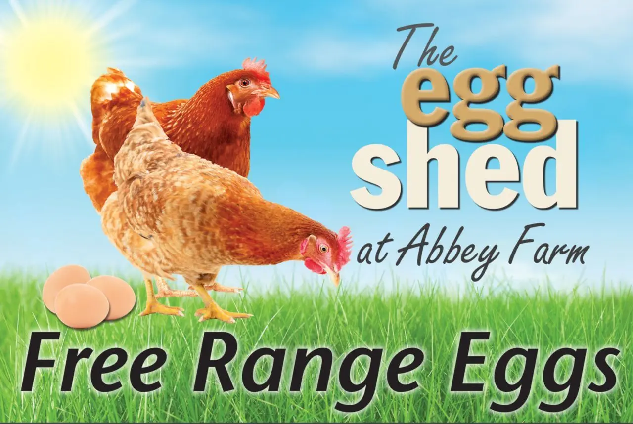 The Egg Shed photo 2