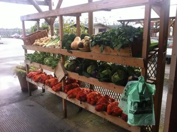 Blofield Farm Shop photo 2