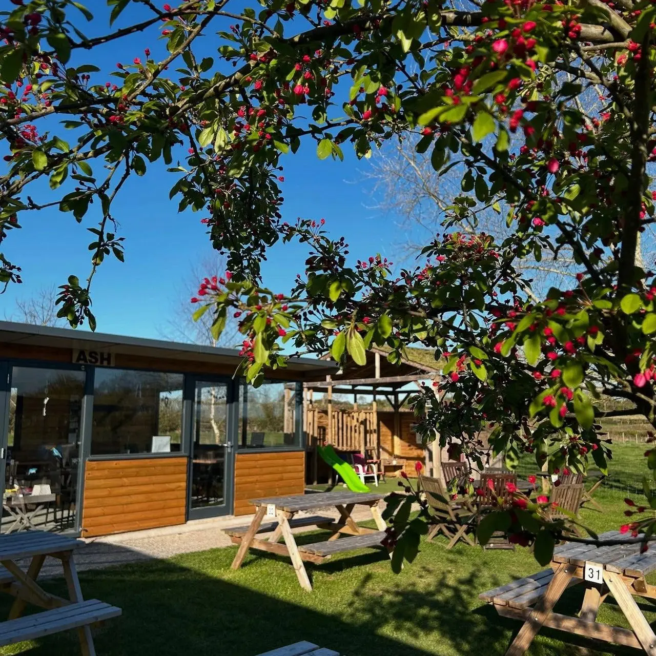 Newlands Farm Shop & Tea Room photo 2