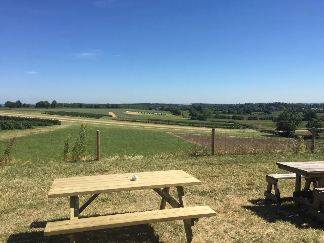 Scaddows Farm & Vineyard main photo