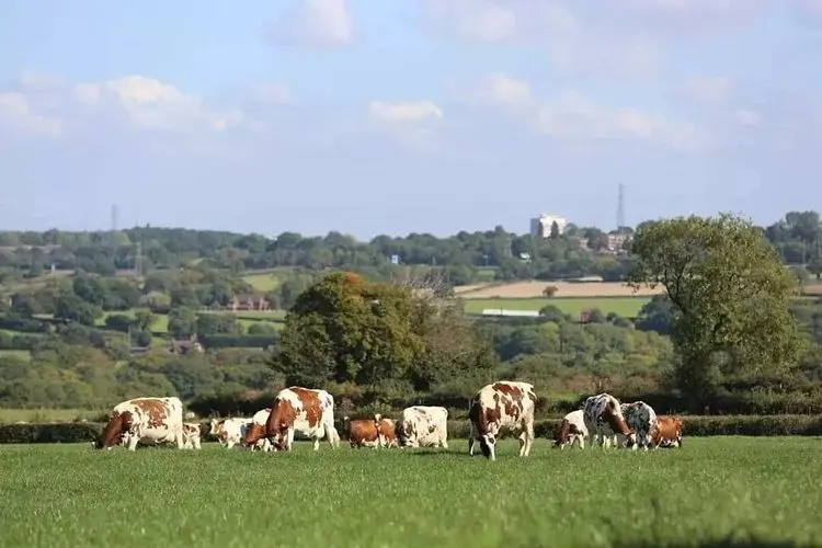 Horsepool Farm Shop photo 1