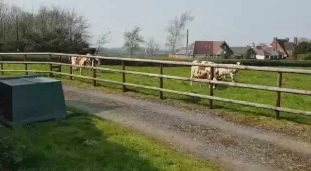 Horsepool Farm Shop photo 3