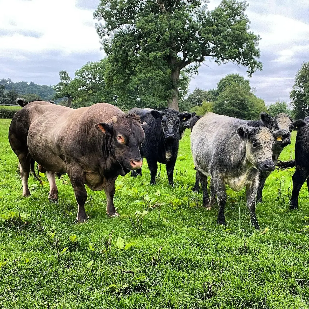 Brook House Farm Shop photo 1