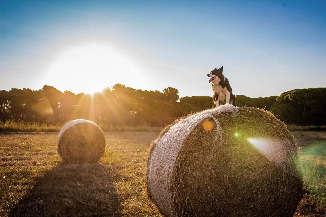 Waugh Brow Farm Shop main photo