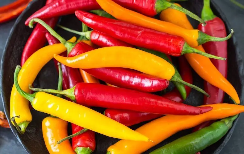 Crazy Chilli