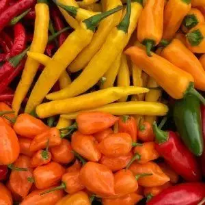 Crazy Chilli photo 2