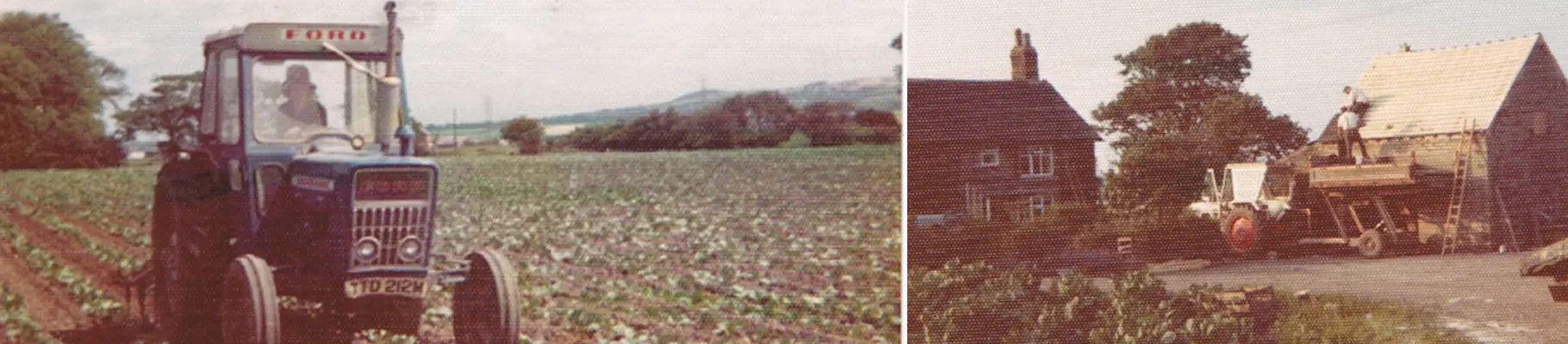 Taylors Farm Shop Ltd photo 4