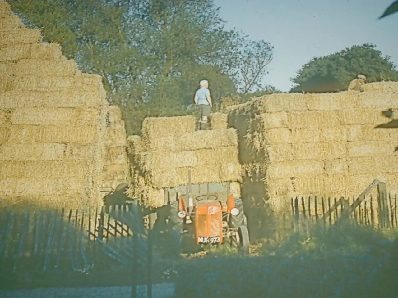 Lower Dairy Farm Shop main photo
