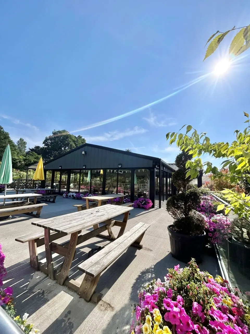 Meadow Grange Nursery photo 1