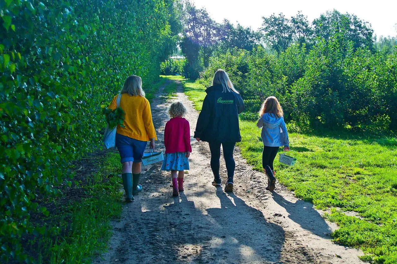 Garsons Esher main photo