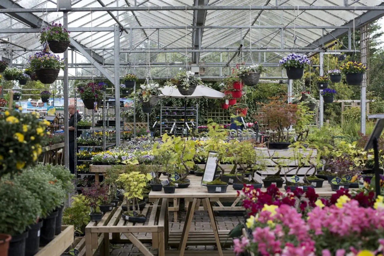 Brimsmore Gardens photo 1