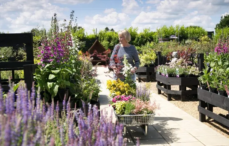 Green Pastures Plant Centre, Farm Shop & Restaurant photo 3