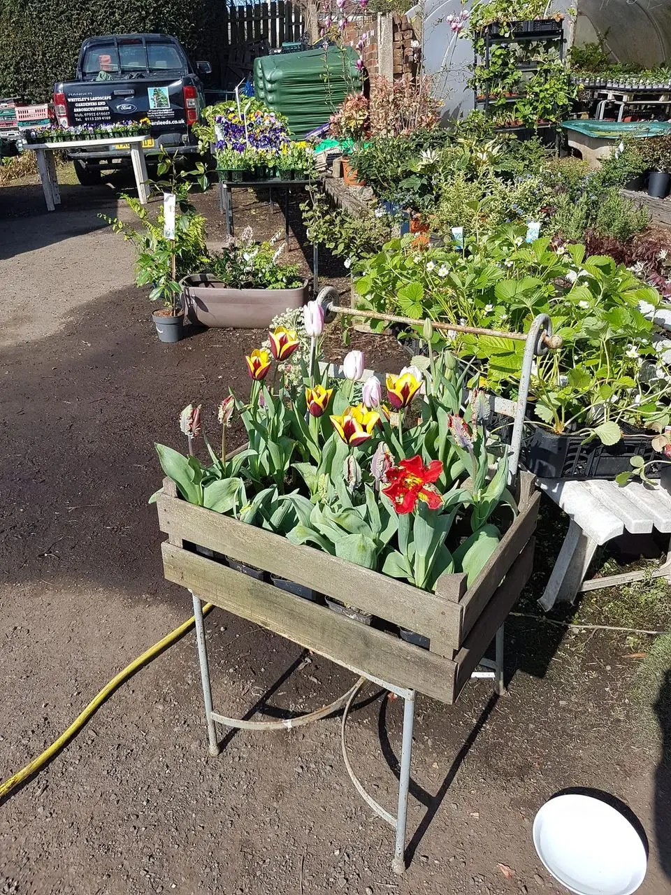 Whiteley's Farm (B Whiteley Farmshop and Nursery) photo 1