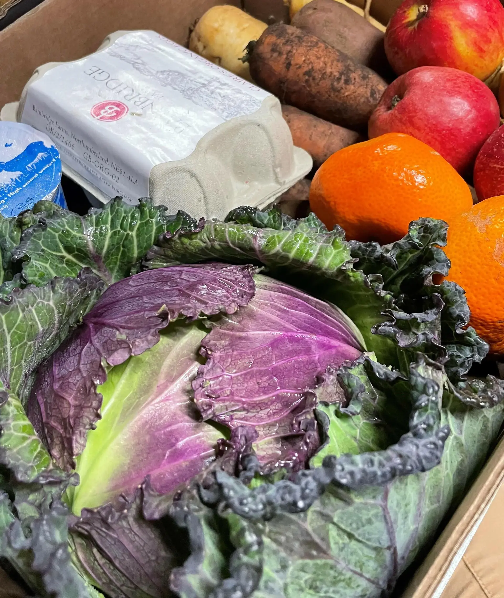 Trinity Farm - Organic Home Delivery photo 1