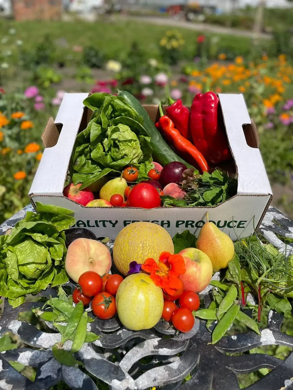 Trinity Farm - Organic Home Delivery photo 2