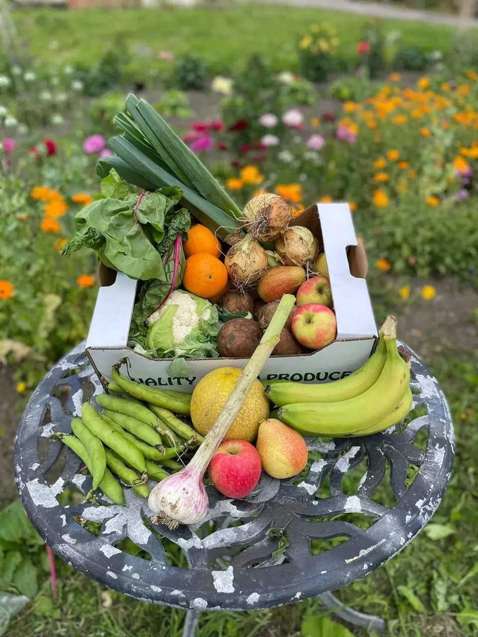 Trinity Farm - Organic Home Delivery photo 3