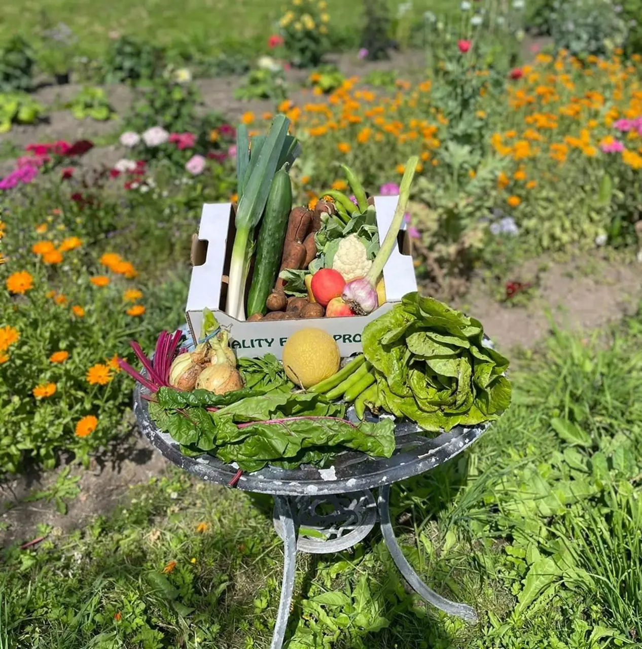 Trinity Farm - Organic Home Delivery photo 4