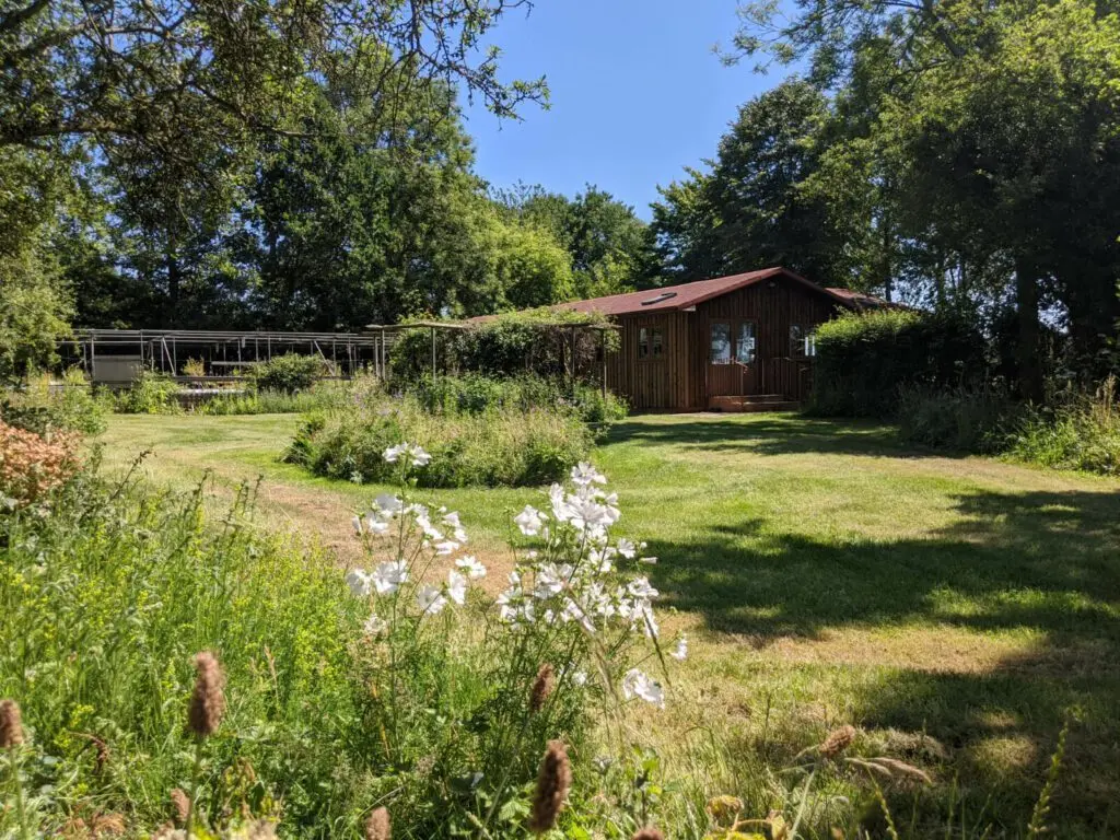 Naturescape Wildflower Farm photo 3