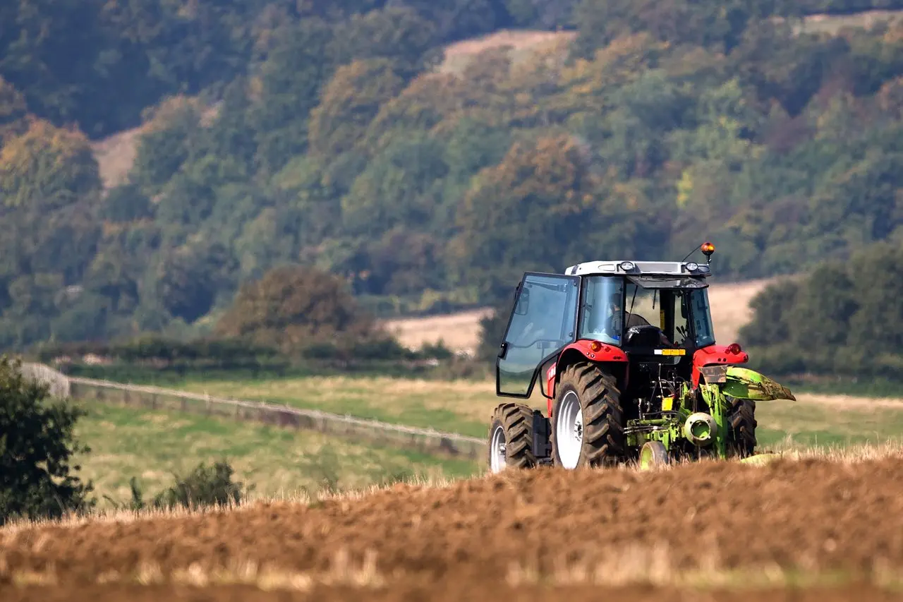 Three Counties Produce – Farm Shop, Bevere photo 3