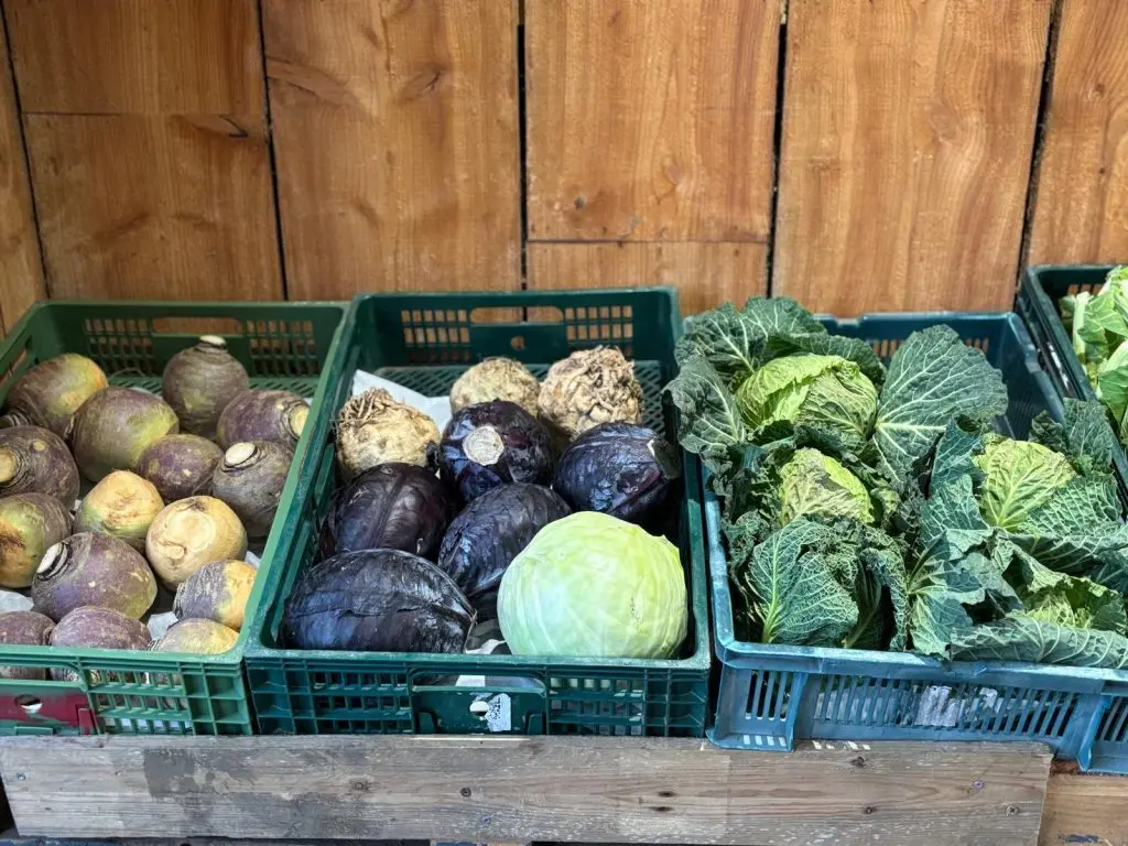 Clive's Fruit Farm photo 1