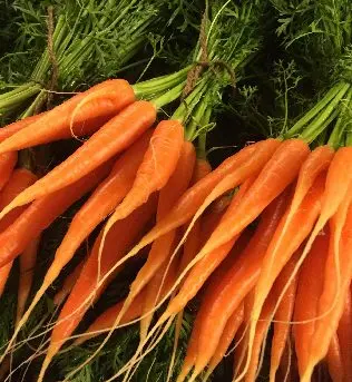 Heaths Farm Shop and Nursery photo 3