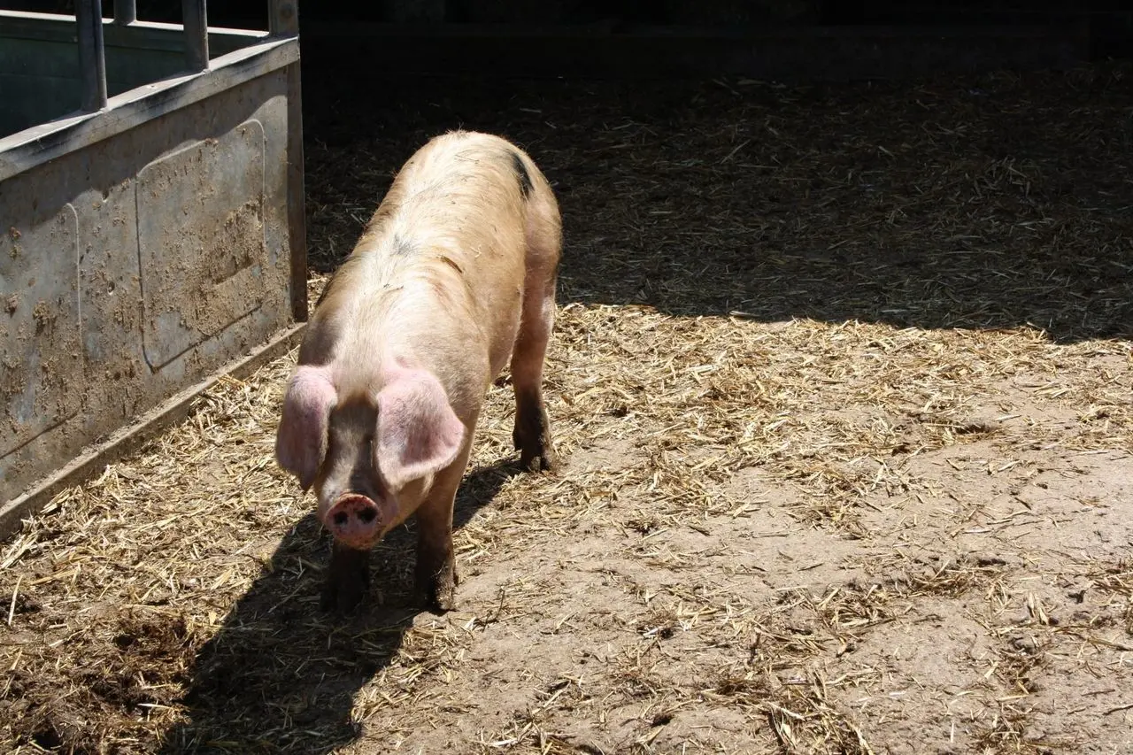 Grange Farm Shop photo 1