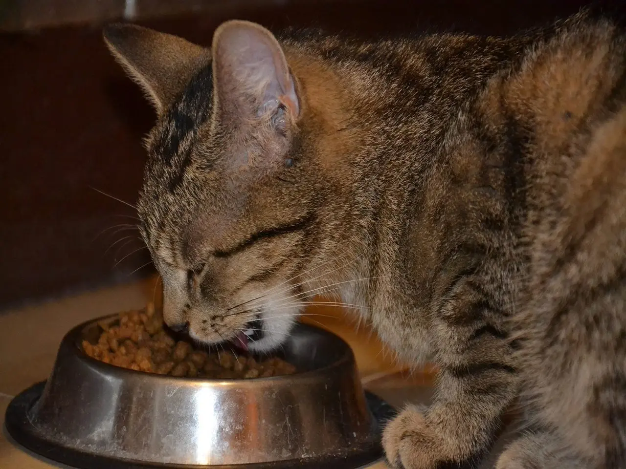 Eureka Animal Feeds photo 3