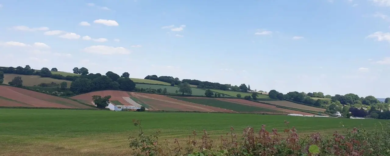Halberton Court Farm Shop photo 2