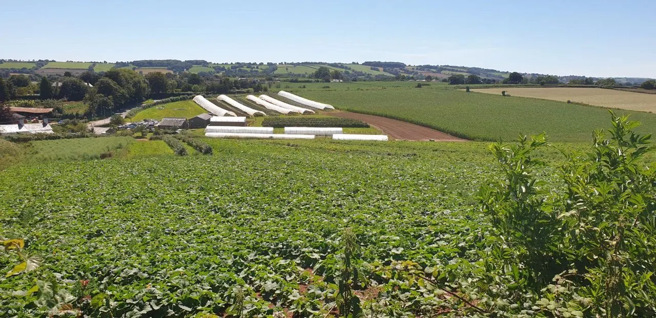 Halberton Court Farm Shop photo 4