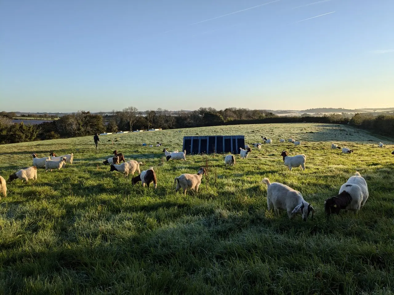 Spindle Wood Farm main photo
