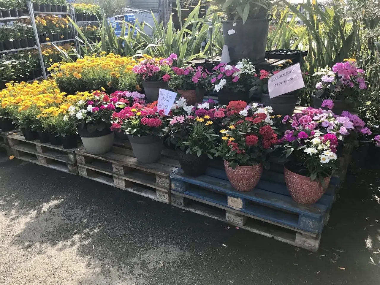 Shergolds Nursery photo 2