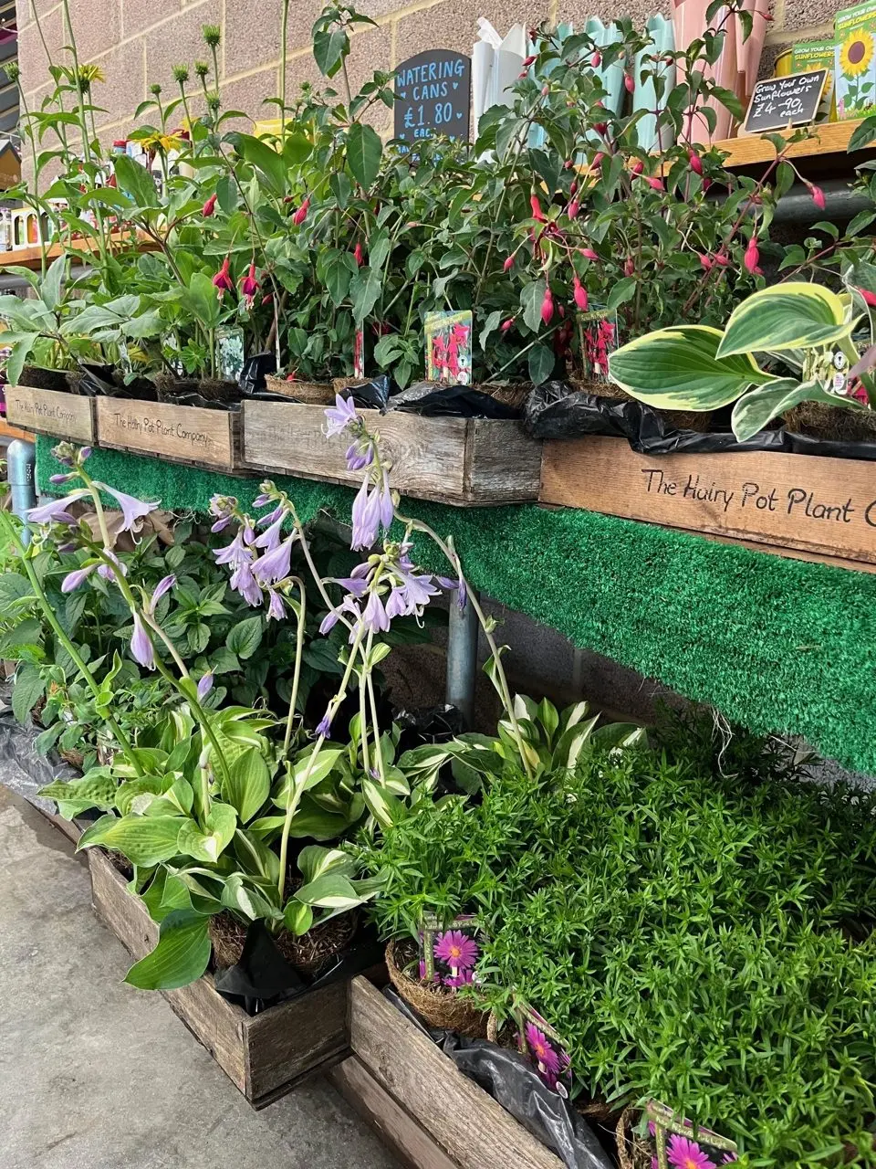 Sunnyfields Farm Shop photo 2