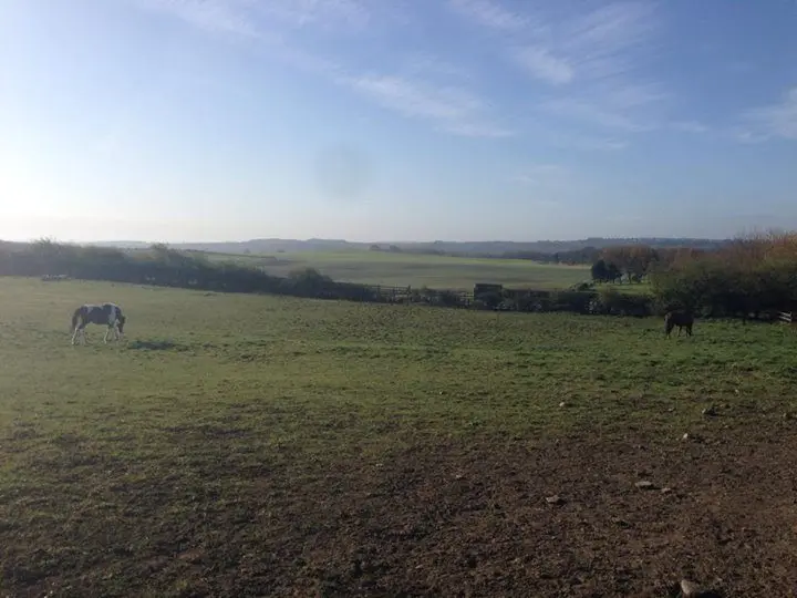 Hedley West Farm photo 3