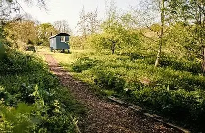 West Town Farm photo 3