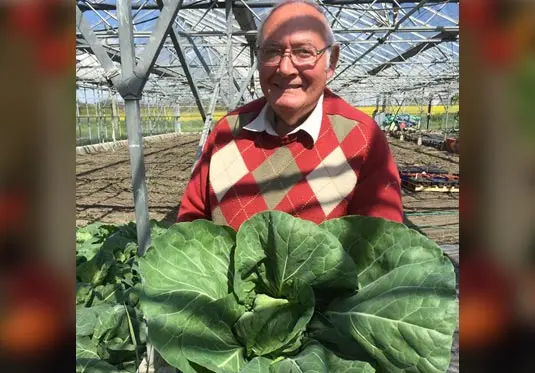 Delf Farm Shop & Nursery Ltd photo 1